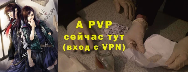 шишки Белоозёрский