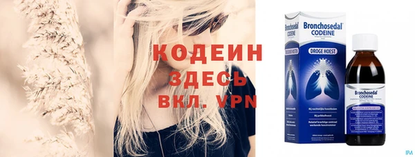 шишки Белоозёрский