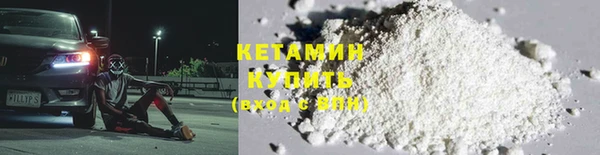 шишки Белоозёрский