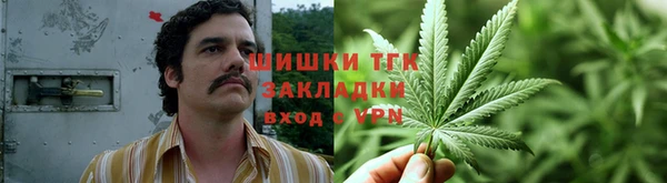 2c-b Белокуриха