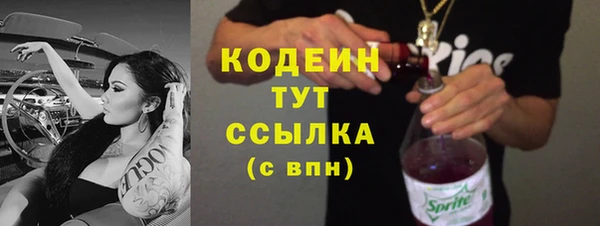 шишки Белоозёрский