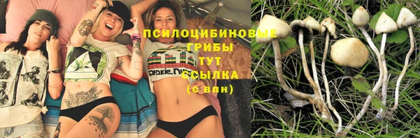 spice Беломорск
