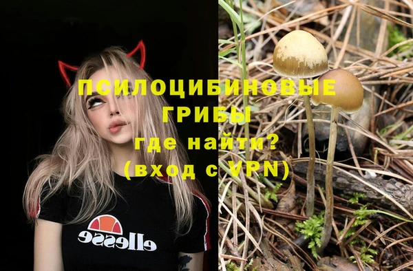 2c-b Белокуриха
